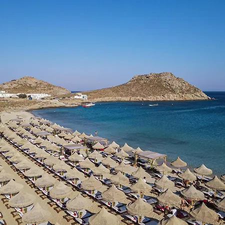 Noleya Pure Island