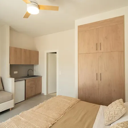 Noleya Pure Island Apartment Batsi (Andros)
